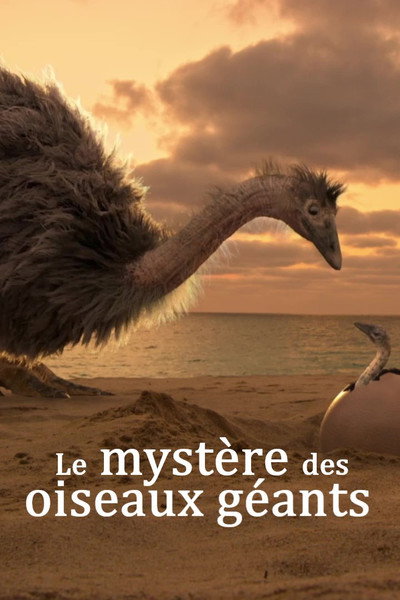 Póster de El misterio de las aves prehistóricas