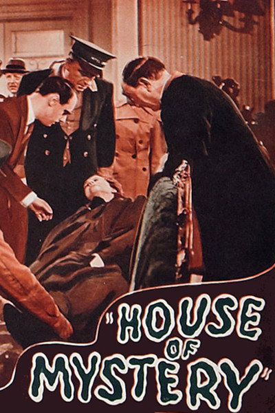 Póster de El misterio de Villa Rosa