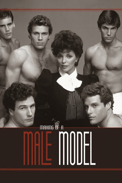 Póster de El modelo