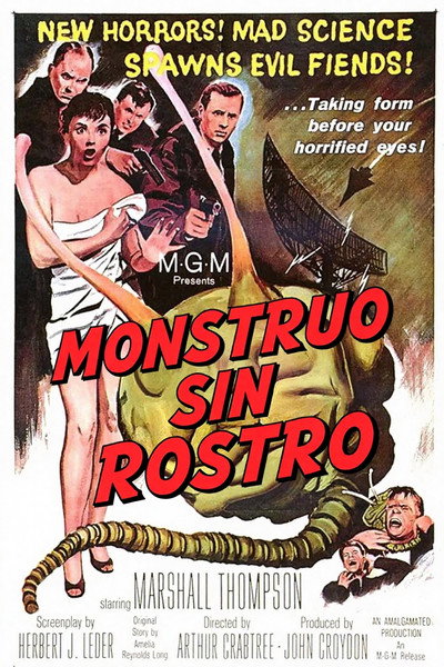 Póster de El monstruo sin rostro