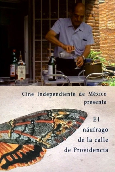 Póster de El náufrago de la calle Providencia