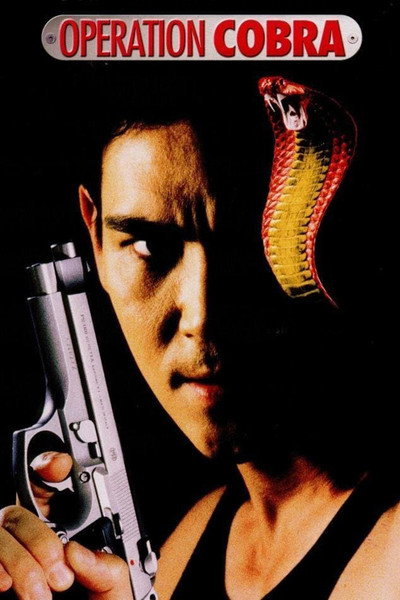 Póster de El nido de la cobra