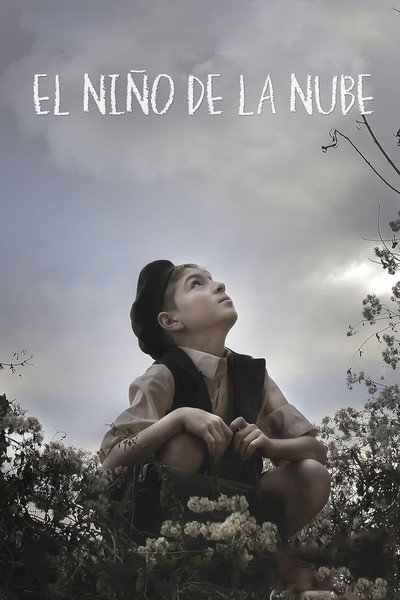 Póster de El niño de la nube