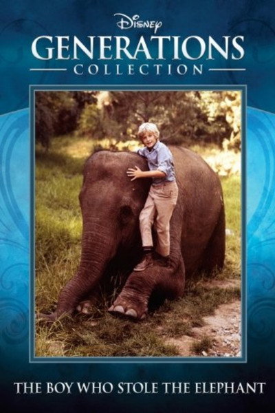 Póster de El niño que robó un elefante