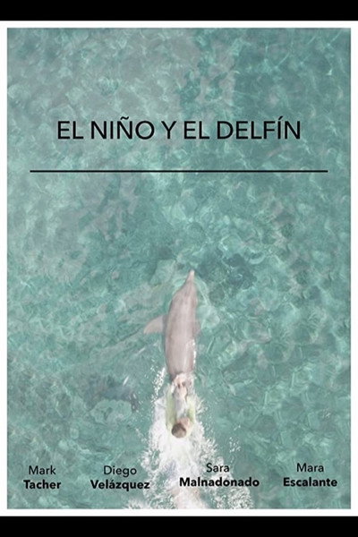 Póster de El Niño y El Delfín