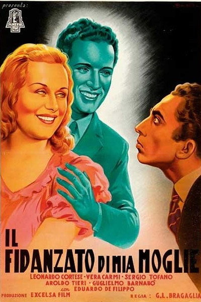Póster de El novio de mi mujer