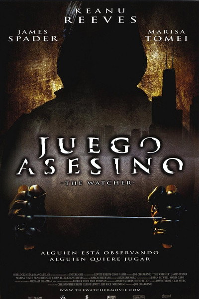 Póster de El observador