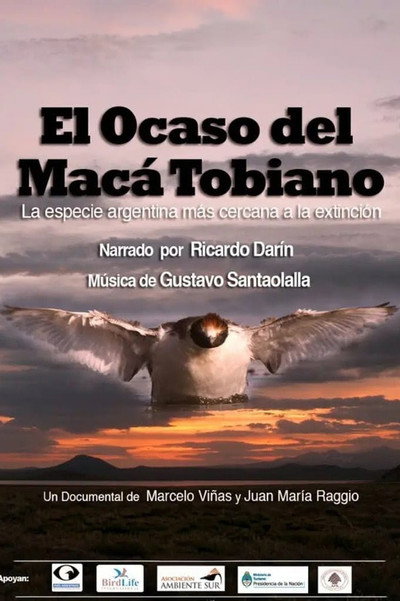 Póster de El ocaso del Macá Tobiano