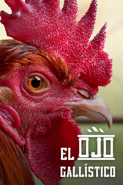 Póster de El Ojo Gallístico