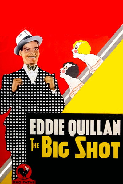 Póster de El optimista