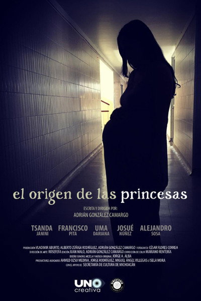 Póster de El origen de las princesas