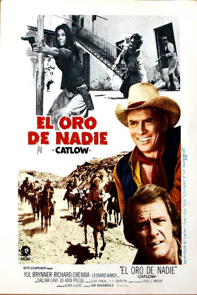 Póster de El oro de nadie