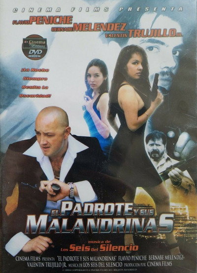 Póster de El padrote y sus malandrinas