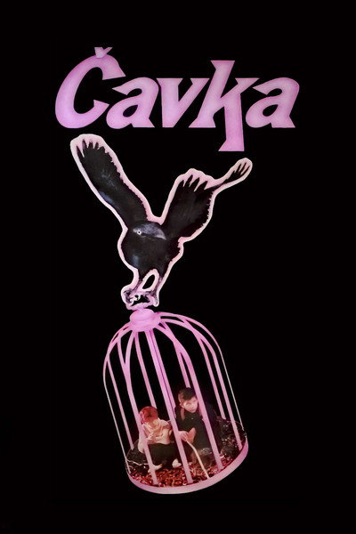 Póster de El pájaro negro