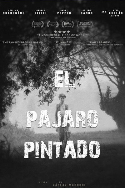 Póster de El pájaro pintado