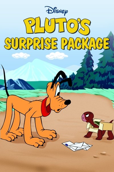 Póster de El paquete sorpresa