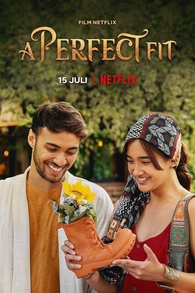 Póster de El par perfecto