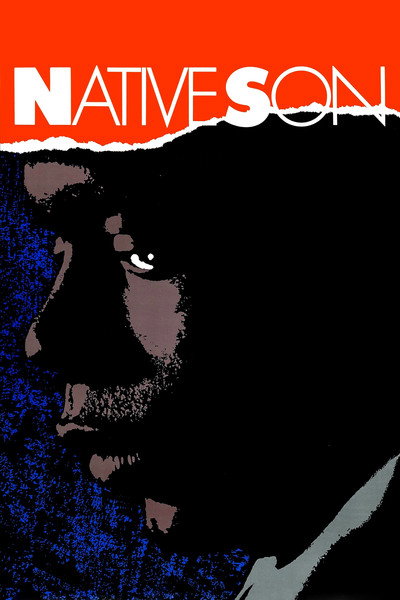 Póster de El paria