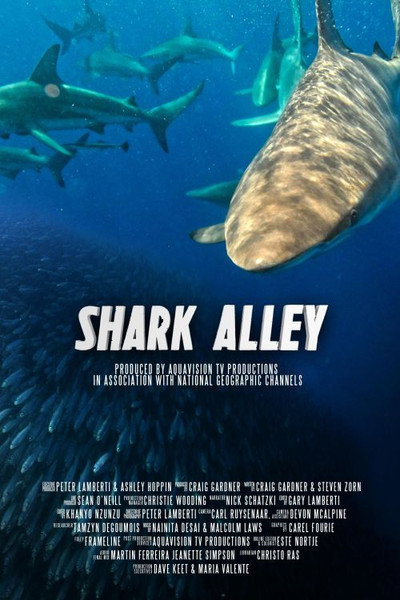 Póster de El pasaje de los tiburones