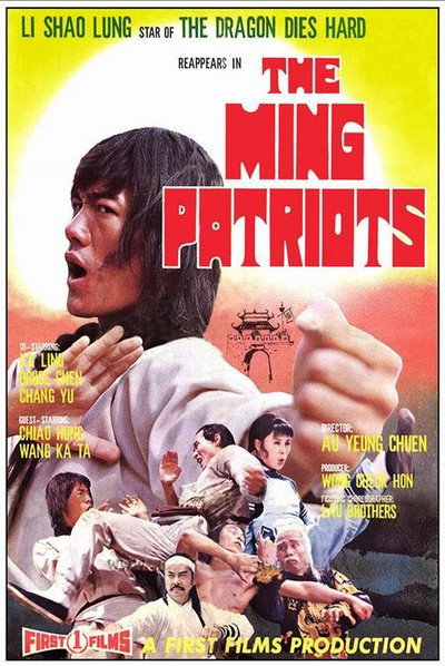 Póster de El pequeño patriota