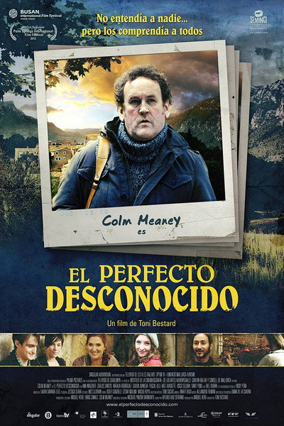 Póster de El perfecte desconegut