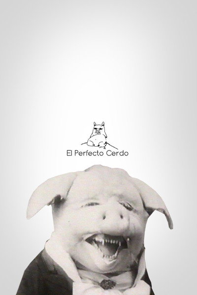 Póster de El perfecto cerdo