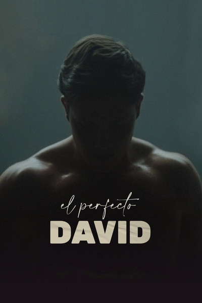 Póster de El perfecto David