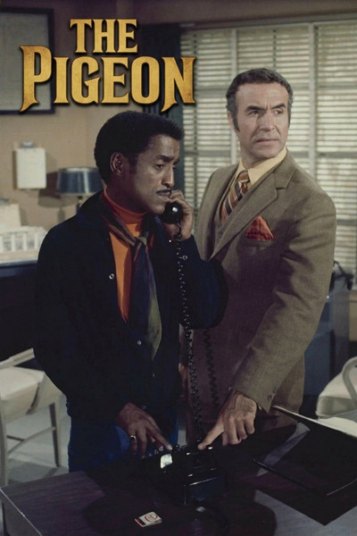 Póster de El pichón