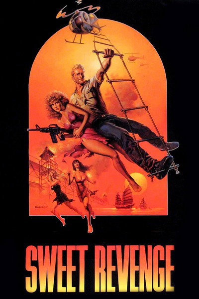 Póster de El placer de la venganza