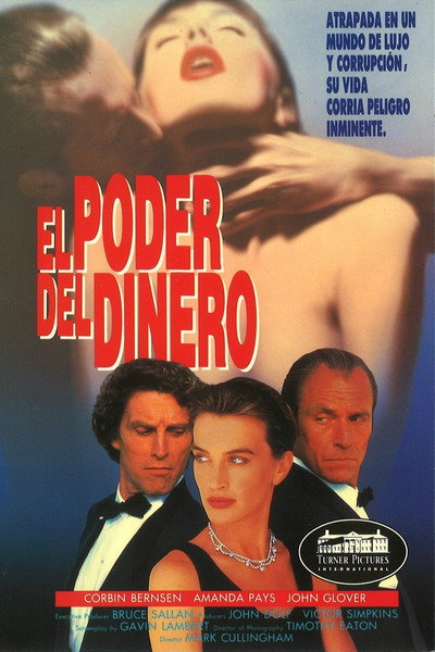 Póster de El poder del dinero