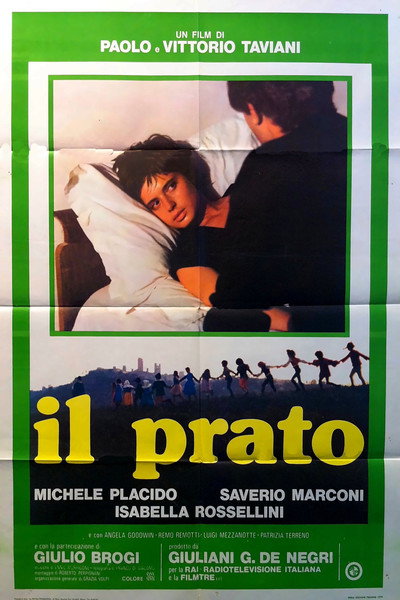 Póster de El prado