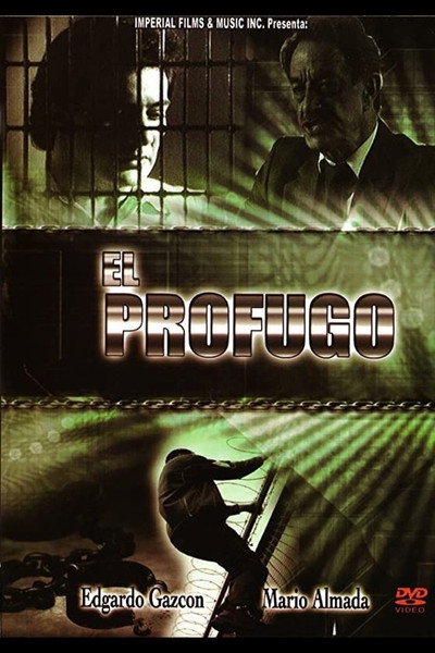 Póster de El prófugo