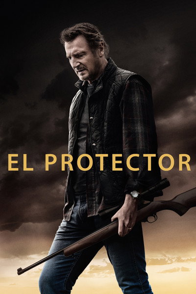 Póster de El protector
