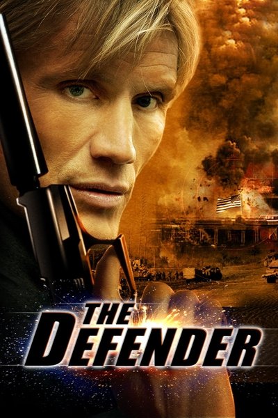 Póster de El protector