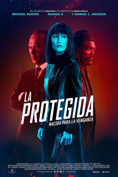 Póster de El Protegido