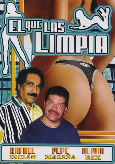 Póster de El que las limpia