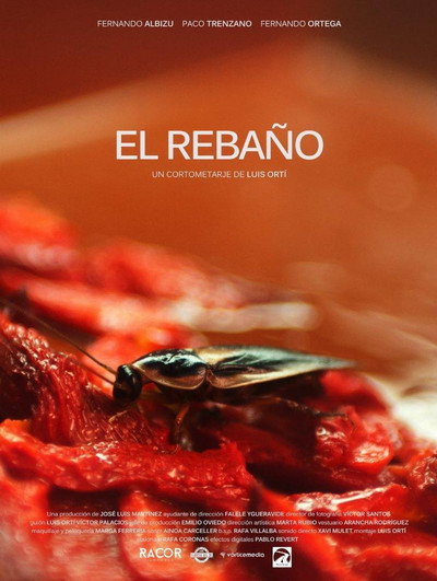 Póster de El rebaño