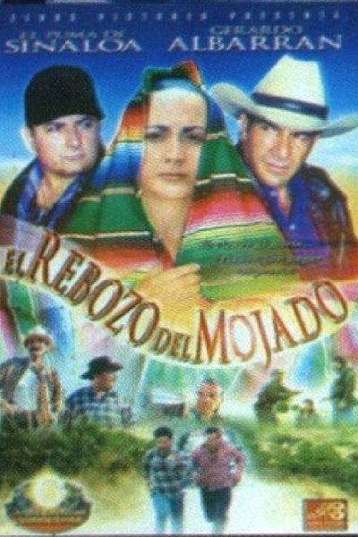 Póster de El rebozo del mojado