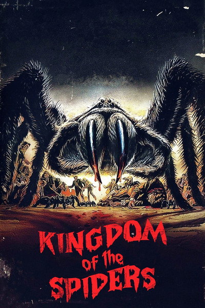 Póster de El reino de las arañas
