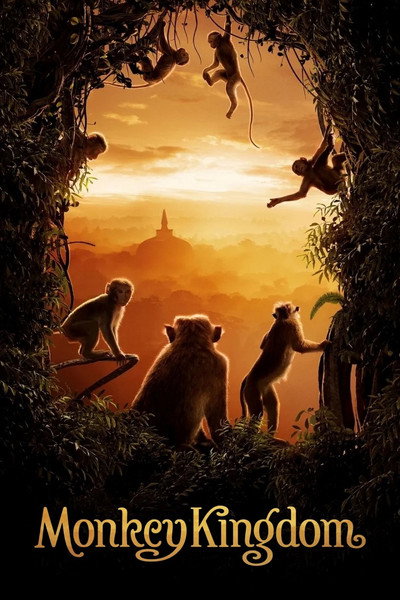 Póster de El reino de los monos