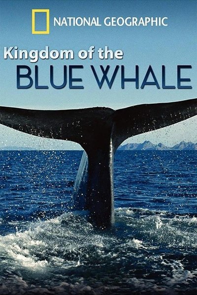 Póster de El reino del rorcual azul