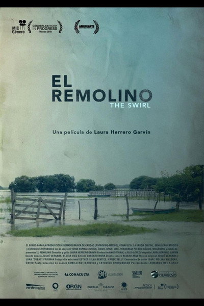Póster de El Remolino