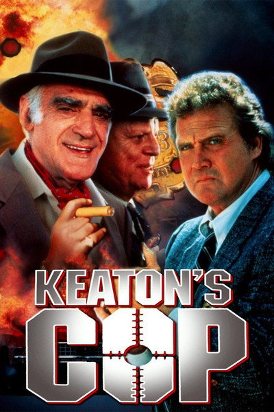 Póster de El retorno de Keaton