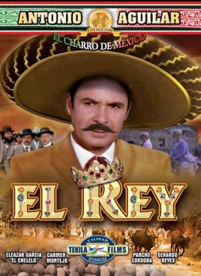 Póster de El rey
