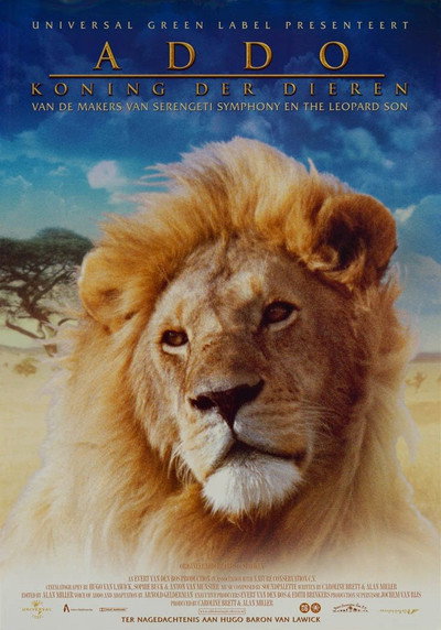 Póster de El rey africano