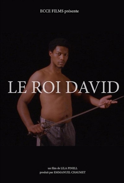 Póster de El rey David