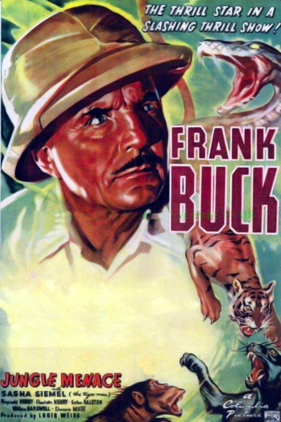 Póster de El rey de la jungla