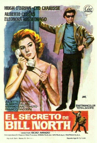 Póster de El secreto de Bill North