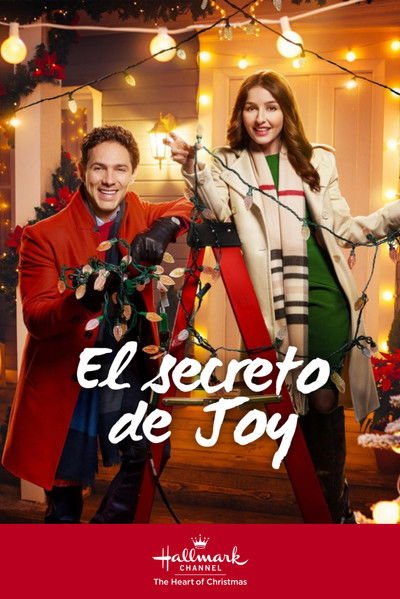 Póster de El secreto de Joy