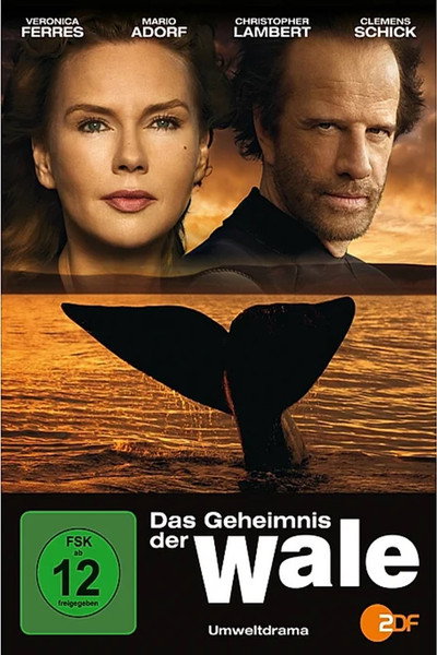 Póster de El secreto de las ballenas